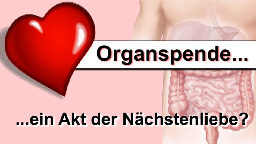 Organspende – ein Akt der Nächstenliebe?