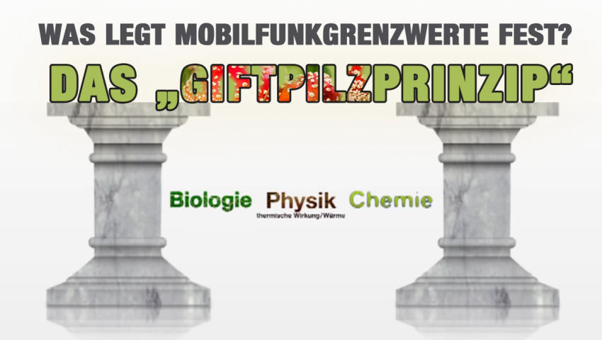 Das „Giftpilzprinzip“ – was legt Mobilfunkgrenzwerte fest?