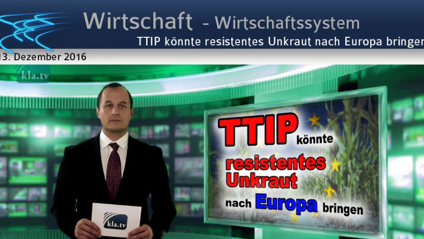 TTIP könnte resistentes Unkraut nach Europa bringen