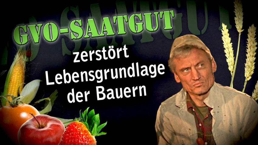 GVO-Saatgut zerstört Lebensgrundlagen der Bauern