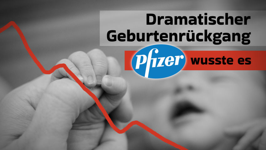 Dramatischer Geburtenrückgang – Pfizer wusste es