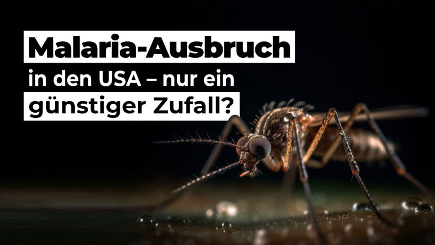 Malaria-Ausbruch in den USA – nur ein günstiger Zufall?