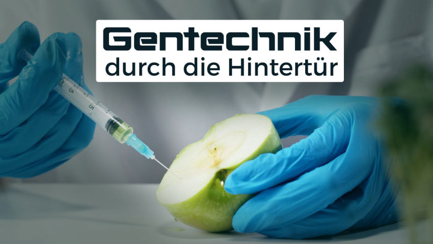 EU winkt Gentechnik durch die Hintertür – doch nicht ohne Widerstand