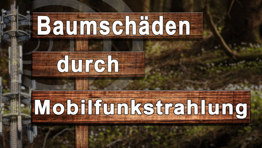 Baumschäden durch Mobilfunkstrahlung