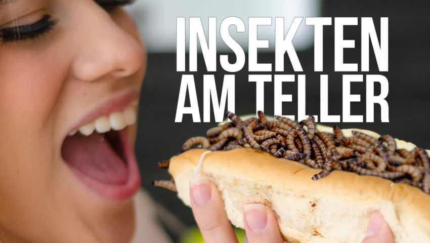 Insekten am Teller – da steckt der Wurm drin