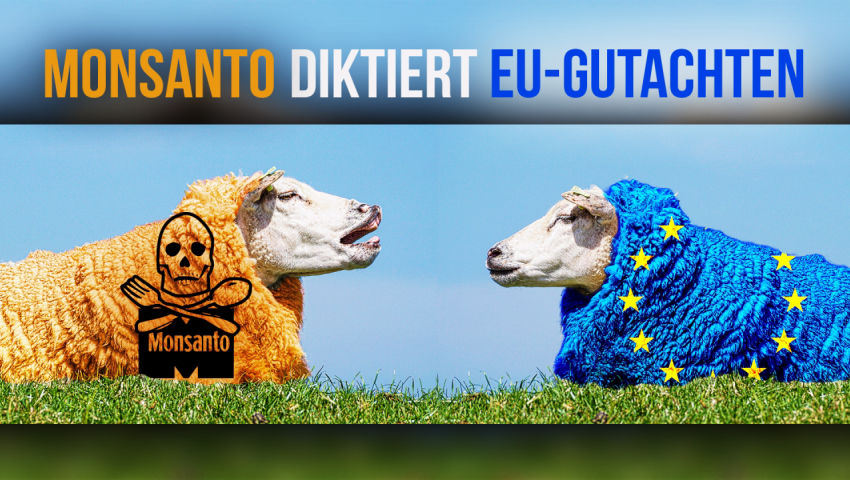 Monsanto diktiert EU-Gutachten