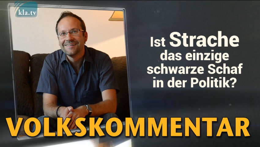 Ist Strache das einzige schwarze Schaf in der Politik?