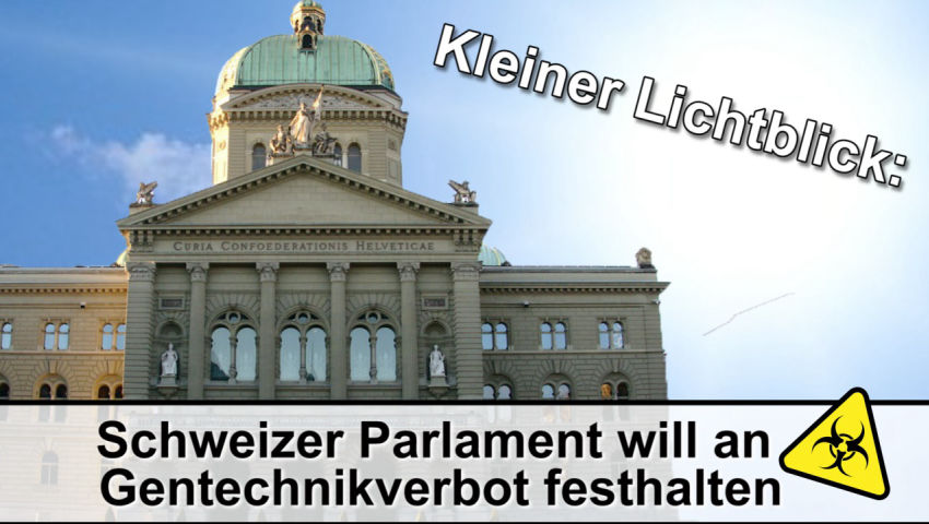 Kleiner Lichtblick: Schweizer Parlament will an Gentechnikverbot festhalten