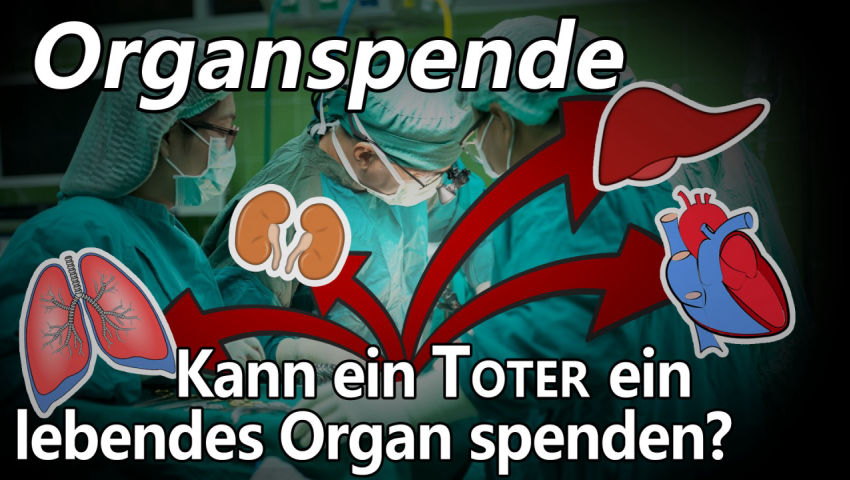 Organspende – Kann ein Toter ein lebendes Organ spenden?