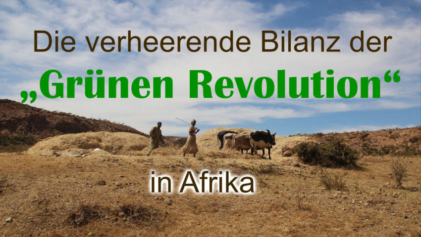 Die verheerende Bilanz der „Grünen Revolution“ in Afrika