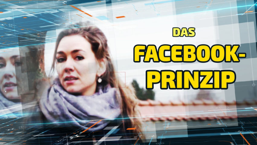 Das Facebook-Prinzip