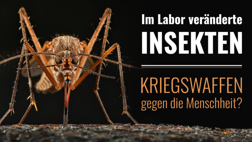 Im Labor veränderte Insekten – Kriegswaffen gegen die Menschheit?