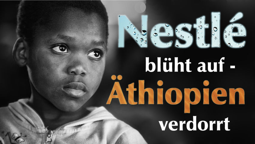 Nestlé blüht auf – Äthiopien verdorrt