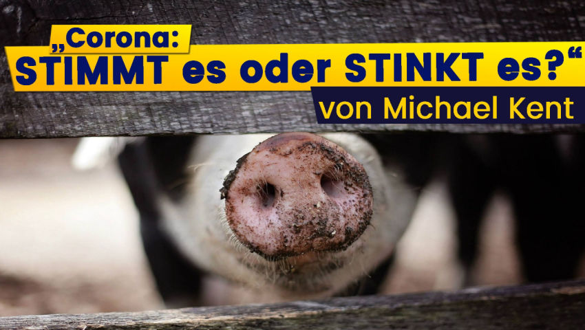 „Corona: Stimmt es oder stinkt es?“ von Michael Kent