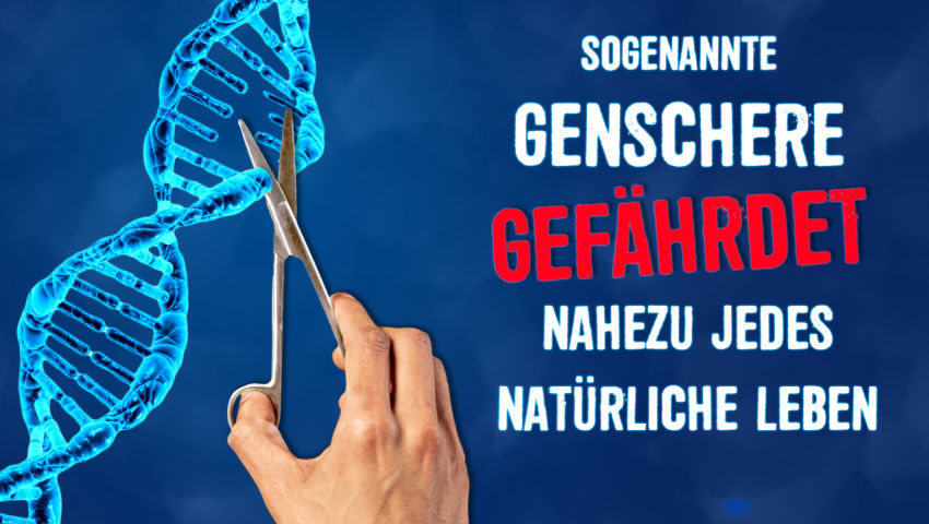 Sogenannte Genschere gefährdet nahezu jedes natürliche Leben