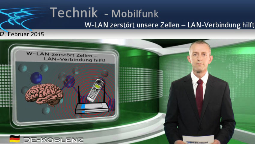 W-LAN zerstört unsere Zellen – LAN-Verbindung hilft!