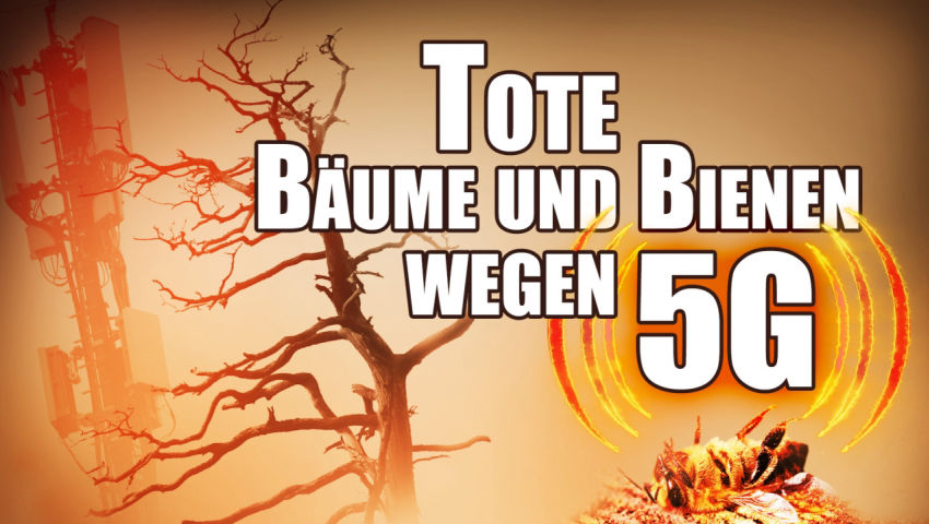 5G: Tote Bäume und Bienen wegen Mobilfunk