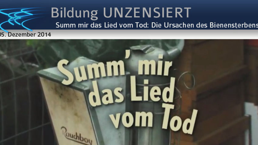 Summ' mir das Lied vom Tod: Die Ursachen des Bienensterbens