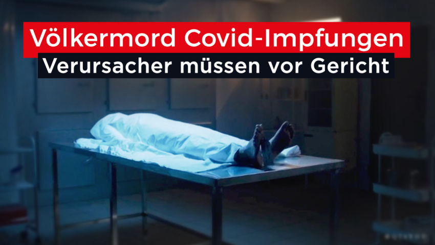 Völkermord Covid-Impfungen: Verursacher müssen vor Gericht! (mit Dokumentarfilm: 'Died Suddenly' - P