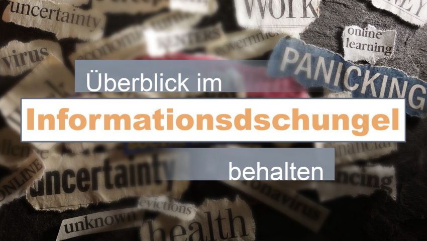 Überblick im Informationsdschungel behalten