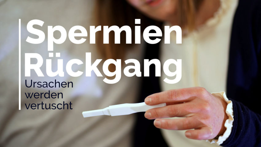 Ursachen für den Rückgang der Spermienqualität werden vertuscht