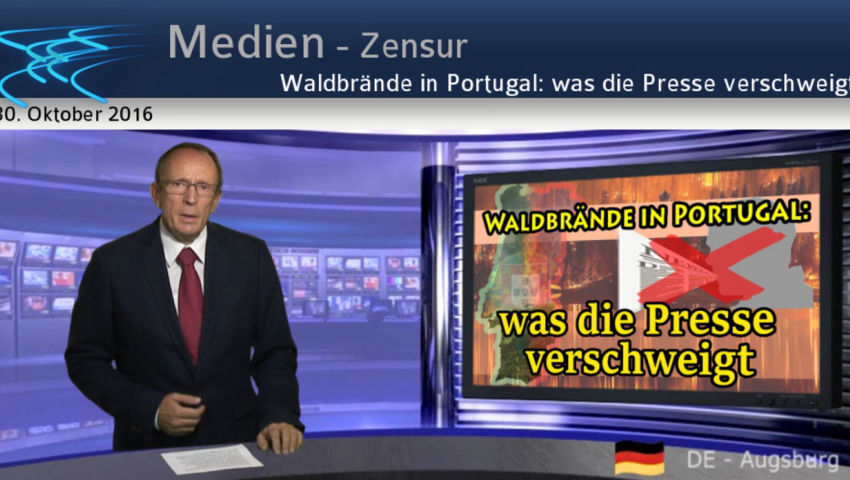 Waldbrände in Portugal: was die Presse verschweigt