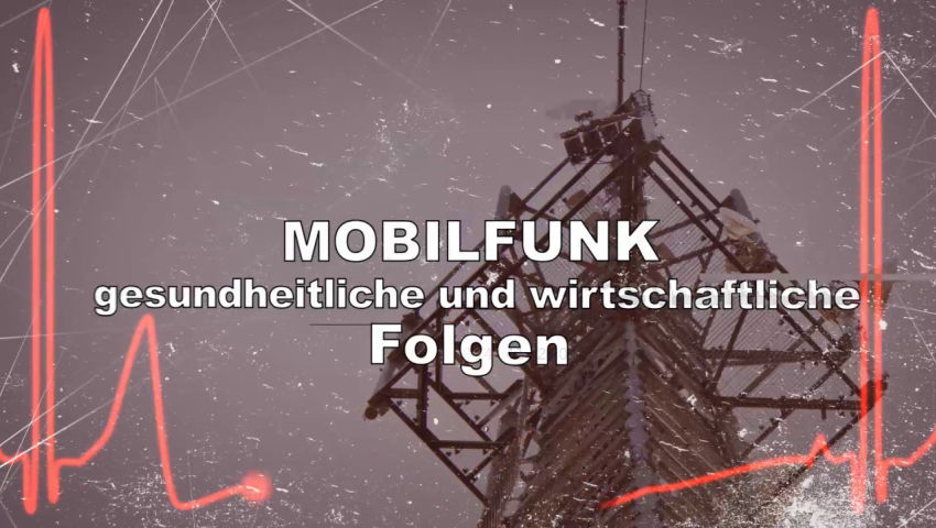 Mobilfunk: Gesundheitliche und wirtschaftliche Folgen