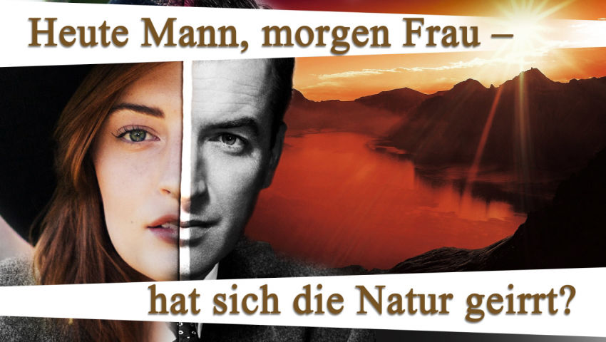 Heute Mann, morgen Frau – hat sich die Natur geirrt?