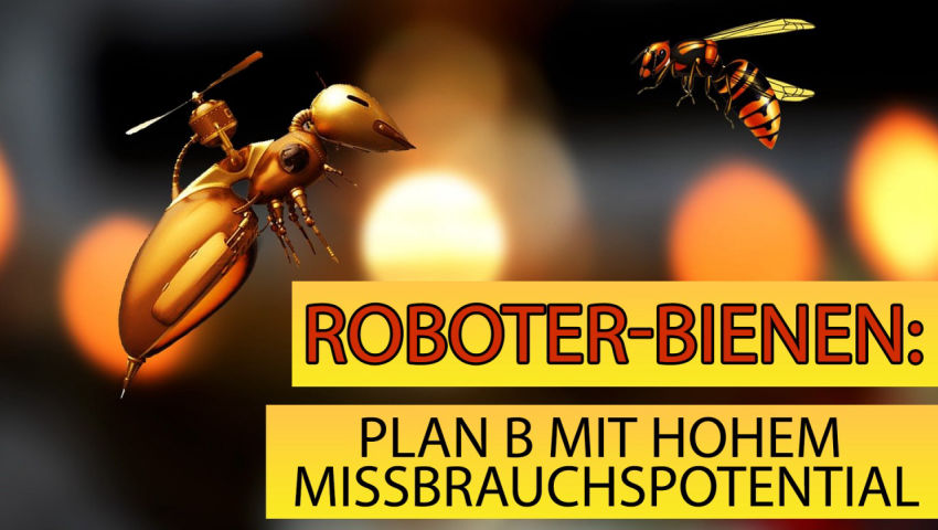 Roboter-Bienen: Plan B mit hohem Missbrauchspotenzial