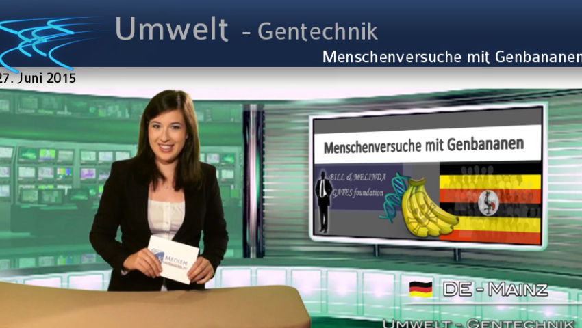 Menschenversuche mit Genbananen