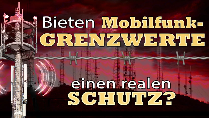 Bieten Mobilfunk-Grenzwerte einen realen Schutz?