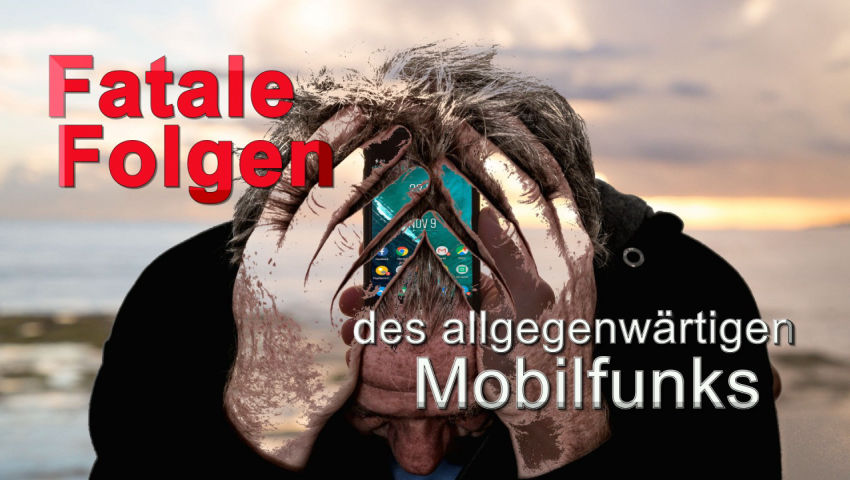 Fatale Folgen des allgegenwärtigen Mobilfunks