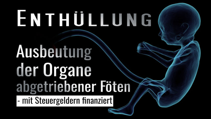 Ausbeutung der Organe abgetriebener Föten - mit Steuergeldern finanziert!