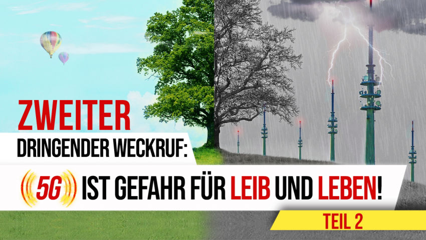 Zweiter dringender Weckruf: 5G ist Gefahr für Leib und Leben! (Teil 2)