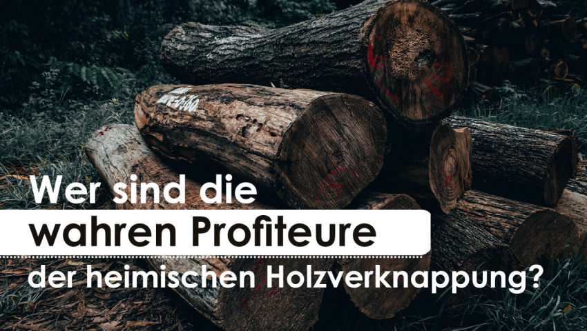 Wer sind die wahren Profiteure der heimischen Holzverknappung?