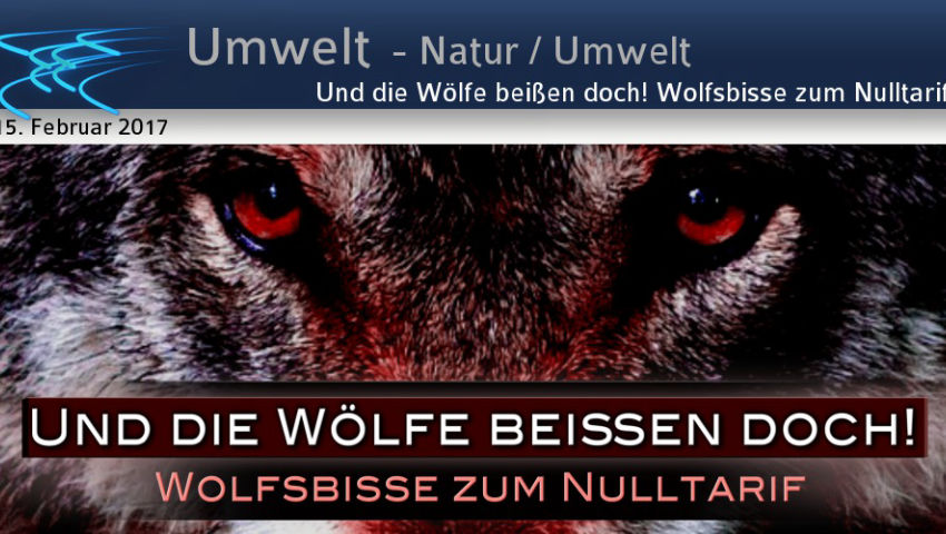 Und die Wölfe beißen doch! Wolfsbisse zum Nulltarif