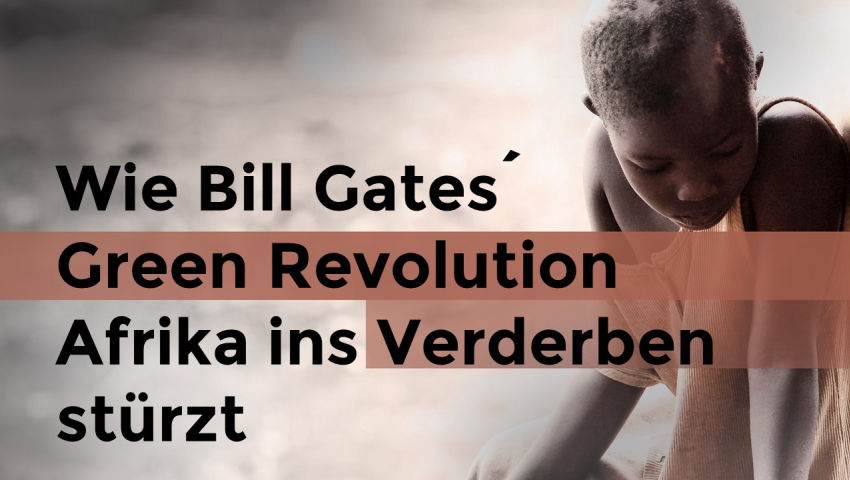 Wie Bill Gates Green Revolution Afrika ins Verderben stürzt