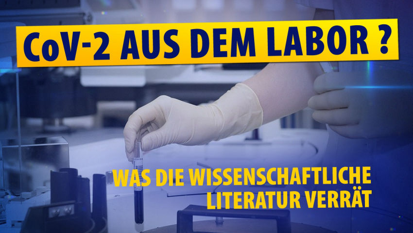 CoV-2 aus dem Labor? Was die wissenschaftliche Literatur verrät