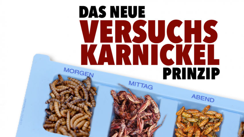 Das neue Versuchskarnickel-Prinzip