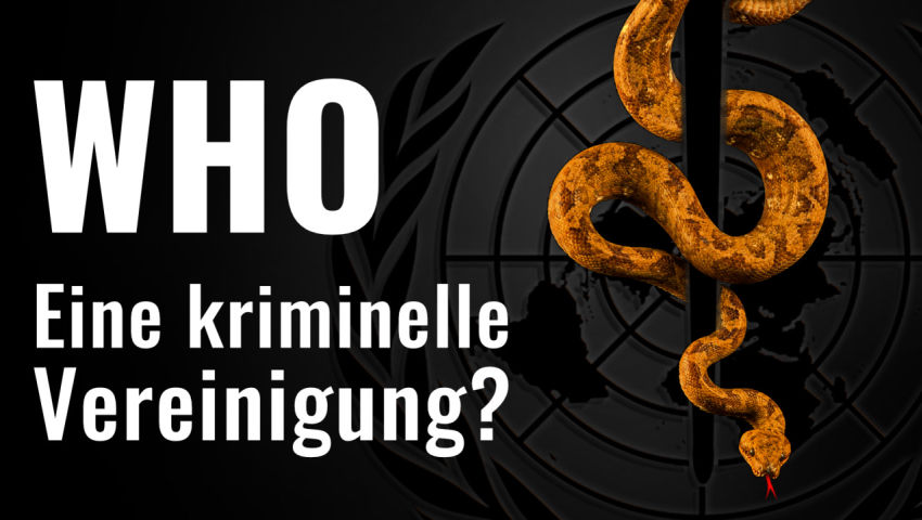 Die WHO – eine kriminelle Vereinigung?