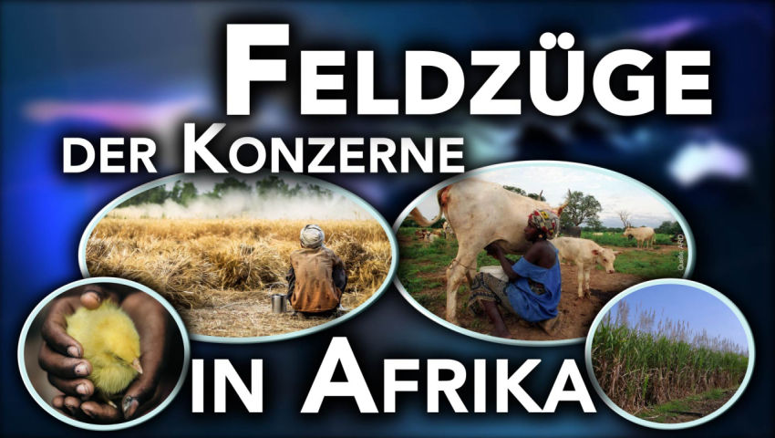 Feldzüge der Konzerne in Afrika