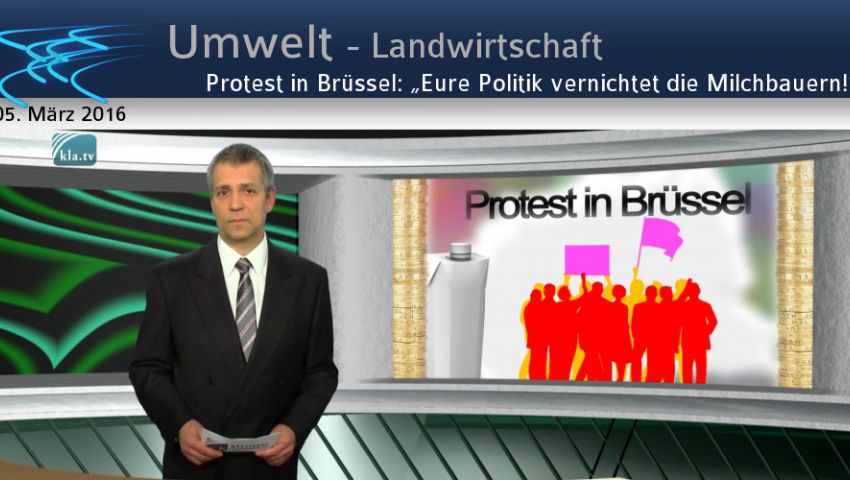 Protest in Brüssel: „Eure Politik vernichtet die Milchbauern!“