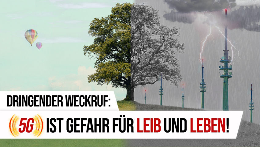 Dringender Weckruf: 5G ist Gefahr für Leib und Leben!