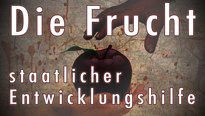 Die Frucht staatlicher Entwicklungshilfe